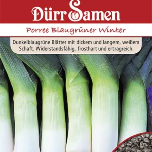 Lauch Blaugrüner Winter Saatgut