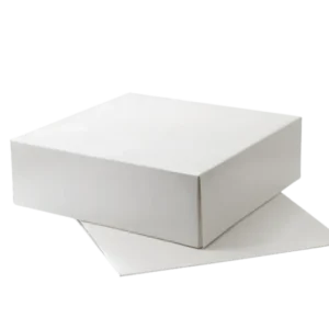 TakeAware.nl Duplex doos 250x250x80mm wit
