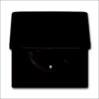 ABB BUSCH-JAEGER 2CKA002064A0291 Steckdose