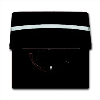 ABB BUSCH-JAEGER 2CKA002064A0298 Steckdose