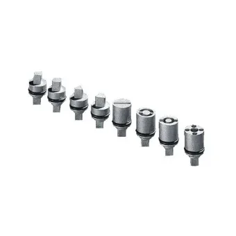 RITTAL 2461000 Schlosseinsatz fuer Schaltschrank/Gehause