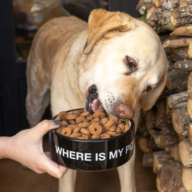 Hundenapf "Where is my pizza?" – Keramik · Ø 16 cm · 750 ml | Fisura