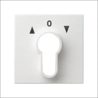 GIRA 066403 Bedienelement / Zentralplatte Schalterprogramm