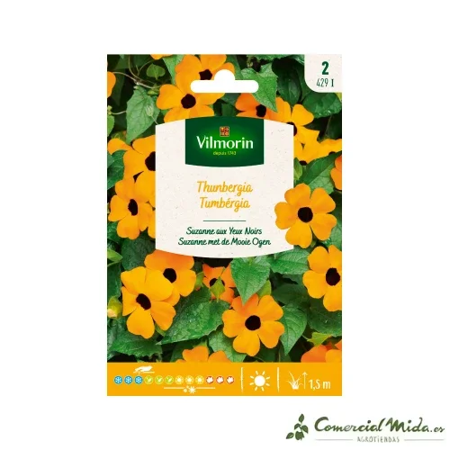 VILMORIN Semillas Thunbergia Alata
