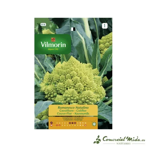 VILMORIN Semillas Bróculi Romanesco Natalino