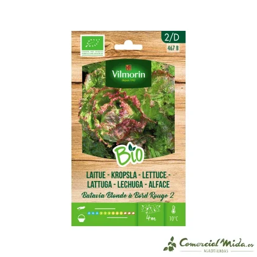 VILMORIN BIO Semillas Lechuga Batavia Rubia