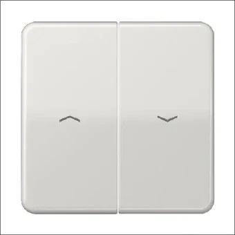 JUNG CD595PLG Bedienelement / Zentralplatte Schalterprogramm 67 mm