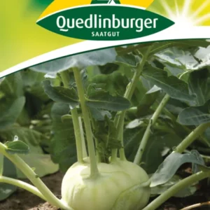 Kohlrabi Delikateß weißer Saatgut