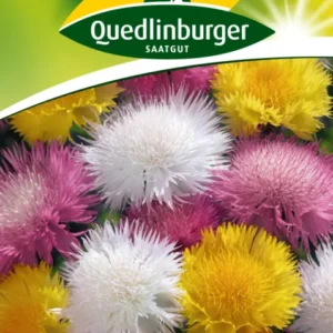 Flockenblume Gefüllte Mischung Saatgut