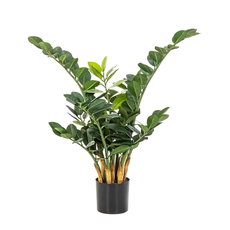 Künstliche Zamioculcas - Svea, 66 cm, Kunstpflanze von aplanta, im schwarzen Topf, in Natur, für drinnen