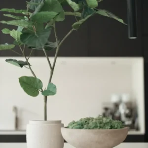 Bloempot - Neck - Beige - 20x15 cm - STILL