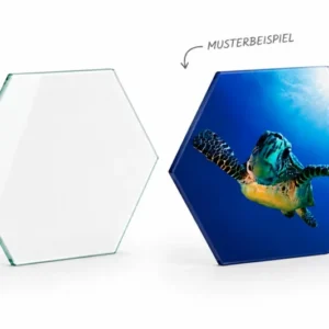 Glasscheibe "Sechseck 6mm Float" diverse Größen